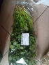 带根香菜100g 实拍图