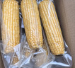 京鲜生 东北黄糯玉米250g*10棒 新鲜甜糯玉米棒真空包装粘玉米 源头直发 实拍图