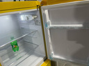 志高复古小冰箱迷你小型双门家用 冷藏冷冻两用节能轻音电冰箱 欧式现代家装网红颜值款化妆品茶叶 152升双门复古黄【上冷藏下冷冻】 实拍图