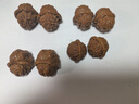 山中玉金刚菩提手串尼泊尔菩提子原籽龙鳞纹盘文玩大五瓣精品生日礼物男 [包浆]五瓣金刚19-20mm 实拍图