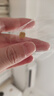 领丰金足金9999十二生肖金豆黄金1g投资金条金币送人节日可爱礼物 生肖-蛇(1g） 实拍图