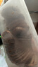 月盛斋【冰鲜牛肉】国产牛腱子净重2斤 内蒙牛肉生鲜鲜肉 中华老字号 实拍图
