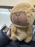 卡皮巴拉毛绒玩具公仔儿童生日礼物女孩情人节礼物水豚毛绒玩偶 卡皮巴拉公仔 1个装（新人专享） 实拍图