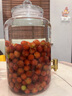 蓝香谷 泸州糯红高粱酒泡酒粮食酒 白酒浓香型 42度5L约10斤 桶装 实拍图