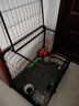 腆宠 狗笼 狗笼子大型犬中型犬小型犬带厕所加粗狗窝家用宠物笼子围栏 实拍图