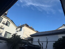 德沃多肥料三角梅专用脱脂骨粉500g园艺有机钾钙肥促花肥促果花卉绿植果蔬肥 实拍图
