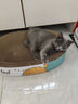 疯狂的主人猫抓板窝特大号猫玩具猫爪板猫抓盆不掉屑猫窝椭圆形瓦楞纸 实拍图