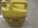 立白清新柠檬味洗洁精大桶1.5kg 除味去油去腥 餐具净洗涤灵洗碗液 实拍图