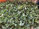 羽衣甘蓝新鲜生鲜蔬菜嫩叶甘兰芥蓝西餐沙拉榨汁减肥减脂山姆同款 羽衣甘蓝轻食3斤装 实拍图
