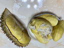 晨臻泰国进口金枕头榴莲鲜果新鲜水果 软糯香甜 金枕榴莲4-5斤（1-2个装） 实拍图