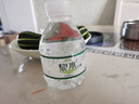 【活动专属】黎水矿泉水试喝电解质水健康高端天然饮用水 238ml小黎水【两瓶装】 实拍图