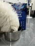 LEGENDSANDY蓝氏狗粮真鲜乳鸽中小型犬泰迪比熊生骨肉冻干鲜肉犬粮1.5kg3斤 实拍图