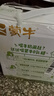 蒙牛0乳糖牛奶200ml*12盒 每100ml含3.3g乳蛋白(礼盒装) 实拍图