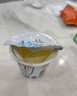 卡士全程冷链 3.3g原味鲜酪乳100g*18杯  低温酸奶 源头直发 实拍图