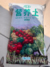 寿禾 营养土种菜通用型种植土播种育苗土椰土蔬菜养花有机土 【新】通用营养土3升 实拍图