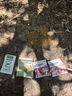 网易严选全价猫粮 宠物主粮幼猫成猫全价粮猫咪食品 深海鱼虾口味50g*2 实拍图