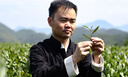 传奇会乌龙茶 安溪铁观音 清香型特级500g轻火茶叶礼盒装新茶自己喝送礼 实拍图