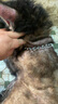 万牵狗链子 不锈p链牵引绳项圈栓狗遛中大型犬脖圈脖套P链金属防咬铁 实拍图