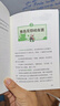 神探迈克狐神秘组织篇（套装6册）新版第三辑儿童文学童书侦探探险小说 课外阅读 阅读 课外书 暑假作业 一升二暑假衔接 小升初暑假衔接 实拍图