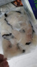 钓鱼记免浆黑鱼片2斤 (4袋*250g) 生鱼片酸菜冷冻火锅食材 生鲜 实拍图
