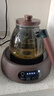 TEAHUE煮茶壶电陶炉煮茶器烧水壶泡茶炉2025新款养生壶家用功夫茶具套装 实拍图