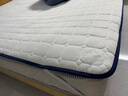 雅鹿 乳胶床垫遮盖物1.5米x2米床褥垫子家用垫被记忆海绵褥子 实拍图