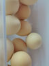 芮瑞 农家散养新鲜现捡鸡蛋笨鸡蛋谷物柴鸡蛋初生蛋 单枚40±5g 12枚 实拍图