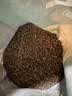 德沃多多肉专用营养土5斤（9合1）盆栽种植颗粒营养土花盆土100%颗粒 实拍图