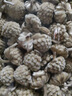 福茗源福茗源绿萝花茶别名西藏雪丽花茶精选结香花茶泡水养生花草茶250g 实拍图