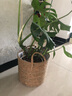 微光里草编花盆摆件藤编海草编织大篮子竹编花盆套绿植家居客厅手提花篮 藤编直筒花篮大号-30*27cm 实拍图