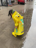 smally儿童雨衣雨鞋套装幼儿园宝宝男童女童小学生全身防水卡通恐龙雨披 立体款恐龙三件套(鞋码备注) S码【建议身高80-95cm】 实拍图