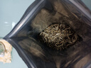 陈一凡 茶叶茉莉花茶茉莉香尖 广西横县茉莉白毫浓香型袋装250g 实拍图