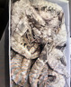 鲜京采 原装进口厄瓜多尔白虾 净重3.3斤 特大号20-30规格 33-50只/盒 实拍图