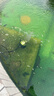 森森 鱼缸造浪泵冲浪泵造流吹粪便吹鱼便小型潜水泵XVA-1000 45W 实拍图