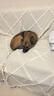 福来恩原研药增效滴剂 犬中3支 1.34ml+犬心保M单粒 实拍图