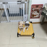 茨格曼狗狗牵引绳狗绳遛狗绳胸背带套装S码小型犬泰迪比熊小狗牵狗绳子 实拍图