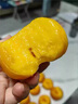 正宗山东蒙阴彩虹黄金油蟠桃新鲜油桃子脆甜水果应季黄心扁桃整箱 5斤 高品质+一级甄选 实拍图