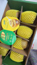 佳沛（zespri）新西兰阳光金奇异果 8个装 特大果单果重约122-146g 水果猕猴桃 实拍图
