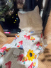 阿莫尔猫咪衣服夏季薄款网纱飞袖裙可牵引金渐层布偶幼猫宠物狗狗防掉毛 蘑菇飞袖裙 L(建议8-10斤具体参考胸围背长) 实拍图