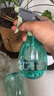 喷壶浇花浇水喷雾器气压式喷水壶家用园艺养花500ml 南瓜喷壶透莹【3个装】 实拍图