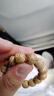 妍韵珠宝精品11x10mm黄金籽星月菩提手串原生态佛桶珠文玩把件男女士手链 实拍图