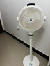 贝昂空气循环扇静音卧室客厅电风扇智能语音节能大风力直流变频家用风扇台式桌面电风扇3D摇头 SF3 Pro鸿蒙智联【功能升级】 实拍图