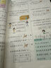2025新版 学霸全程期末必刷卷五年级下册英语苏教版SJ 单元期中期末经纶学霸检测试卷 江苏专用译林版 实拍图