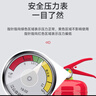 绿消手提干粉灭火器国标车载家用商用电动车2kg消防器材MFZ/ABC2公斤 实拍图