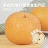 京鲜生 长城秋月梨 净重10斤 单果250g+ 生鲜水果礼盒 实拍图