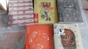 国誉(KOKUYO)迪士尼皮克斯玩具总动员系列A5活页本8mm横线40页/本 WSG-RU6MP12-3 实拍图