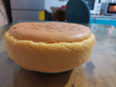 长帝（changdi）【国家补贴】家用风炉平炉电烤箱42升大容量智能菜单多功能炸烤一体机搪瓷内胆猫小易pro 实拍图