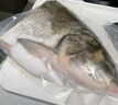 鲜喜爱 冷冻千岛湖有机鲢鱼头1.5斤 白鲢鱼头  生鲜鱼类 海鲜水产 实拍图