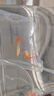 卡奇鱼 孔雀鱼 凤尾鱼 胎生鱼 热带观赏鱼淡水活体鱼小型鱼纯种好养易活 全红孔雀鱼1对 实拍图