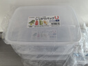 Daisy Leaf 日本冰箱冷冻冻肉分装盒保鲜盒食品级冷冻密封盒抗菌分装收纳盒 实拍图